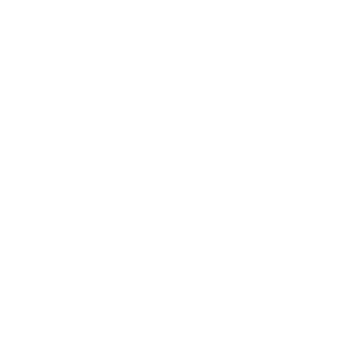 InnoCore Project - Logo speculare